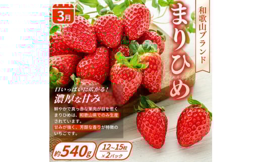 【定期便4回】フルーツ王国かつらぎ町よりお届け！旬のフルーツ定期便【kgr025】