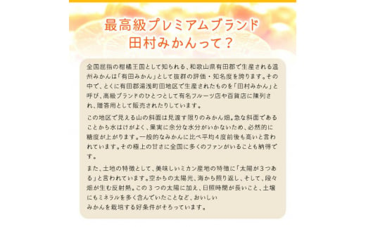 【和歌山特産品】【プレミアムブランド】絶品!濃厚田村みかん 秀品 約5kg ※2024年11月下旬～12月下旬頃に順次発送予定 ※北海道・沖縄・離島への配送不可【ard215】