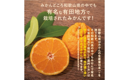 高級ブランド田村の完熟紀州デコ(不知火)約8kg＜2027年3月から順次発送＞【uot867】