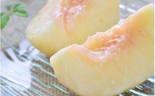 【産直・人気の特産品】和歌山の桃 約2kg 秀品 　※2026年6月下旬～2026年8月上旬頃次発送 / もも モモ フルーツ 果物 くだもの 人気 甘い 和歌山【tec910B】