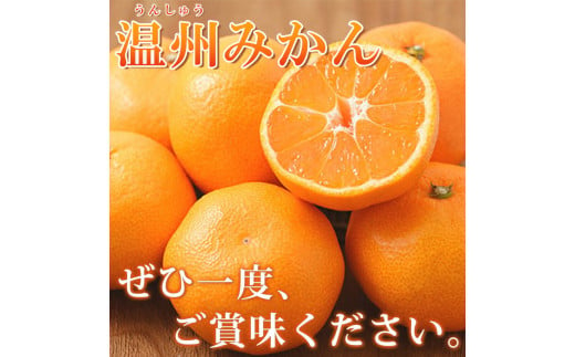 有田の小粒みかん5kg　(S～3Sサイズ混合) ※2026年1月中旬頃～2026年1月下旬頃に順次発送予定 / みかん ミカン 蜜柑 温州みかん 柑橘 フルーツ 果物 くだもの 和歌山【uot845】