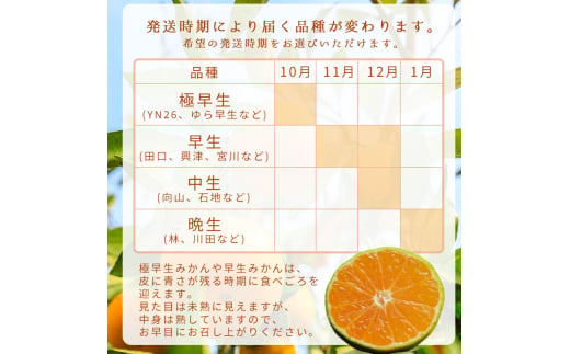 【10月発送】  ご家庭用 有田みかん 和歌山 S～Lサイズ 大きさお任せ 2kg  / みかん フルーツ 果物 くだもの 有田みかん 蜜柑 柑橘【ktn005-10】