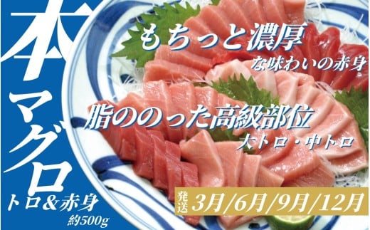 【3ヶ月定期便】海の幸定期便 【人気の国産うなぎ・牡蠣・本マグロを3回お届け】 / 海鮮 鰻 ウナギ 牡蠣 カキ まぐろ 鮪 人気 豪華 贈答 贈り物 ご褒美 お祝い ギフト プレゼント 【tkb607】