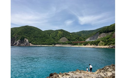 【夕方出発限定】家族で・カップルで楽しむ夕日を眺めながらいく無人島瀬渡しプラ　お弁当付きン【btm002】