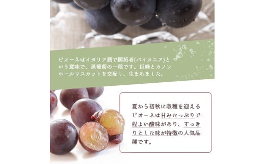 ãå
š3åãçŽå·åæå±±ç£æ¬ã®ãã«ãŒãå®æäŸ¿ (æ¡ã»æ¢šã»ããªãŒã) / ãã«ãŒã ææ© åæå±± ãã ã¢ã¢ 梚 ãªã ã¶ã©ã è¡è ã·ã£ã€ã³ãã¹ã«ãã ããªãŒã 玫è ãtkb424ã