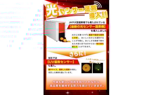 ã2026幎10æçºéäºçŽåããå®¶åºçšãã蟲家çŽéããã ããã®æç°ã¿ãã çŽ10kgïŒ250g(å·ã¿è£åå) ææ©è³ªè¥æ100% ãµã€ãºæ··åãã10æçºéãâ»åæµ·éã»æ²çžã»é¢å³¶é
éäžå¯ãnuk101-10ã