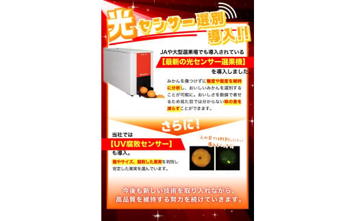 【2024年12月発送予約分】＼光センサー選別／ 【農家直送】【家庭用】こだわりの有田みかん 約6kg＋250g(傷み補償分) 先行予約 有機質肥料100% サイズ混合 【12月発送】みかん ミカン 有田みかん 温州みかん 柑橘 有田 和歌山 ※北海道・沖縄・離島配送不可 【nuk102-2】