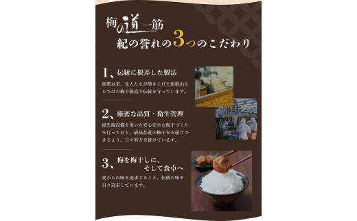 紀州南高梅 大粒 しそ漬け梅干し  750g  塩分約8% 無選別 ご家庭用 訳あり 梅 梅干 梅干し うめ ウメ シソ すさみ町 南高梅 紀州 和歌山 おすすめ 訳アリ 訳あり 【khs121】