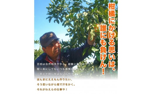 ã2026幎10æçºéäºçŽåãå
ã»ã³ãµãŒéžå¥ïŒ ã蟲家çŽéããå®¶åºçšããã ããã®æç°ã¿ãã çŽ2kg å
è¡äºçŽ ææ©è³ªè¥æ100% ãµã€ãºæ··å ã10æçºéãã¿ãã ãã«ã³ æç°ã¿ãã æž©å·ã¿ãã ææ© æç° åæå±± â»åæµ·éã»æ²çžã»é¢å³¶é
éäžå¯ãnuk159-10ã