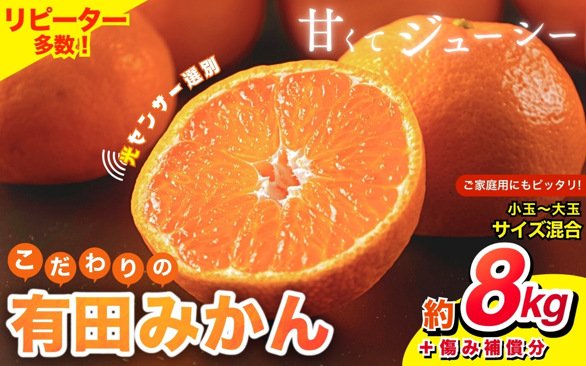 【2024年12月発送予約分】【家庭用】【農家直送】こだわりの有田みかん 約8kg＋250g(傷み補償分) 有機質肥料100% サイズ混合　【12月発送】※北海道・沖縄・離島配送不可【nuk100-2E】