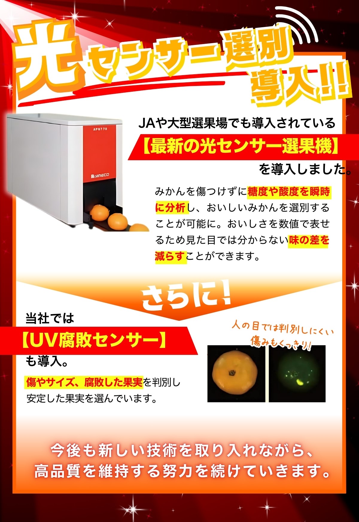 【2024年11月発送】【家庭用】こだわりの有田みかん 約2kg＋250g(傷み補償分) 【11月発送】みかん ミカン 有田みかん  ※北海道・沖縄・離島配送不可【nuk159-1B】