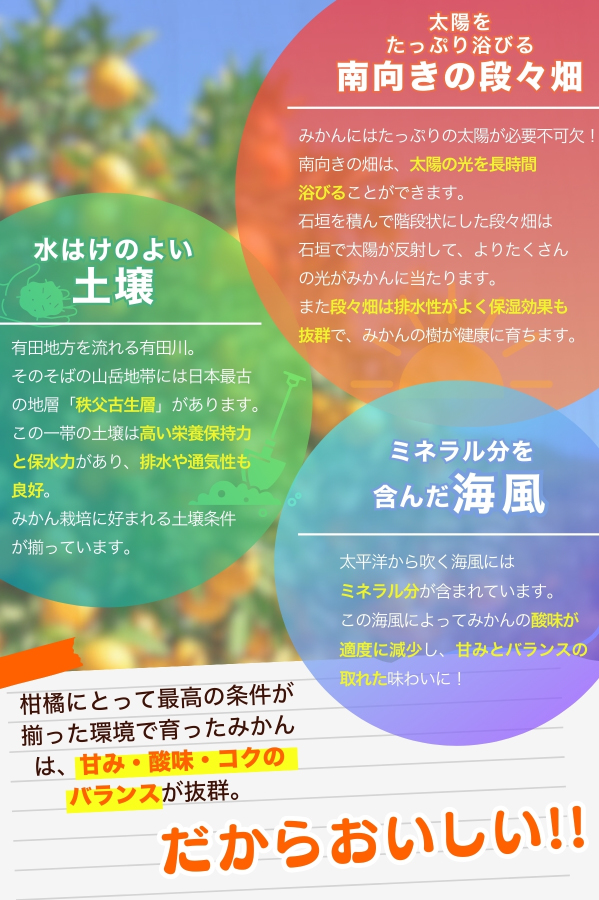 【2024年12月発送】【家庭用】こだわりの有田みかん 約2kg＋250g(傷み補償分)  ※北海道・沖縄・離島配送不可 みかん ミカン 有田みかん【nuk159-2B】