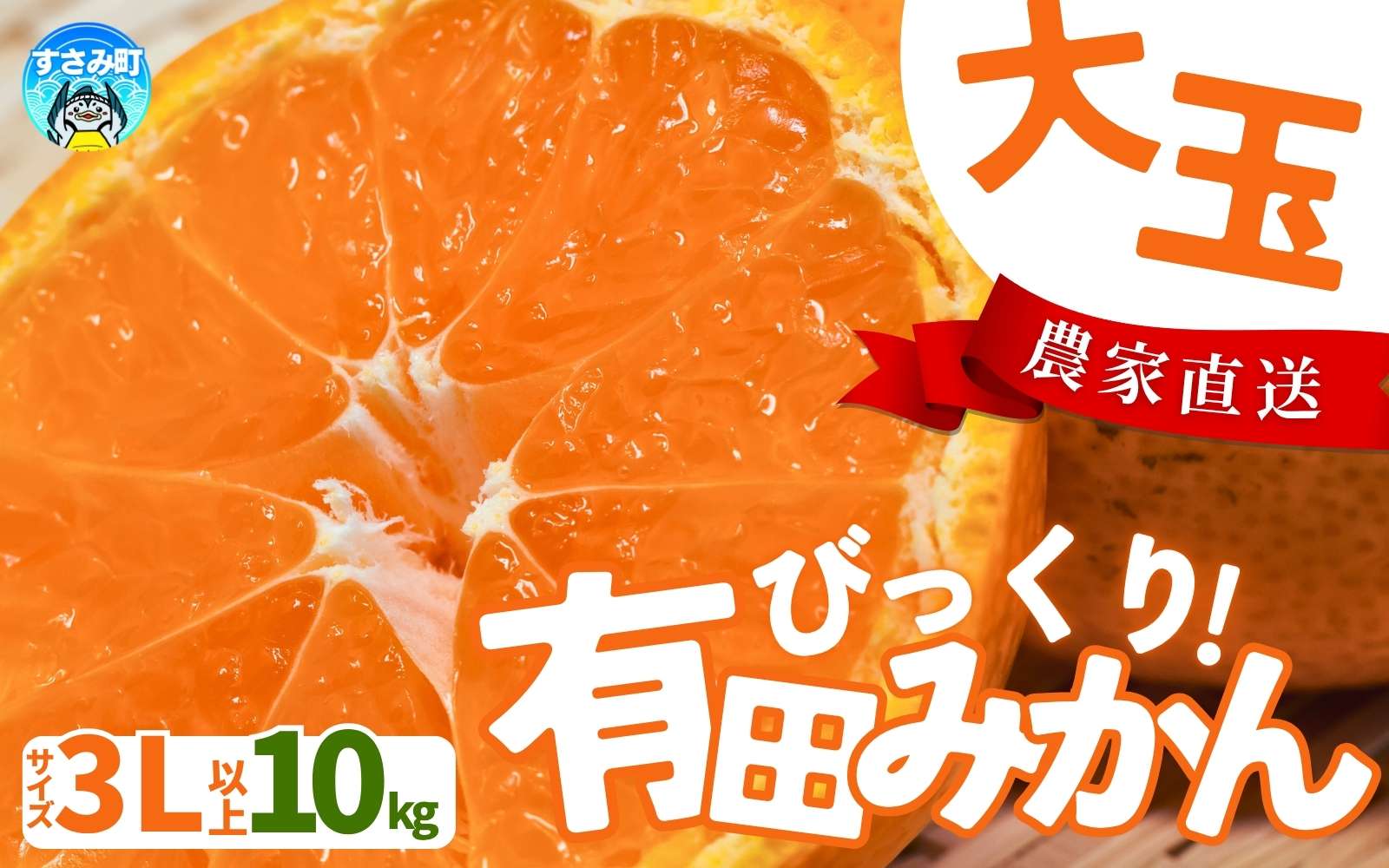 【農家直送】有田みかん 約10kg 大玉3L以上 有機質肥料100% 2025年12月初旬～1月中旬に順次発送(お届け日指定不可)【nuk139E】