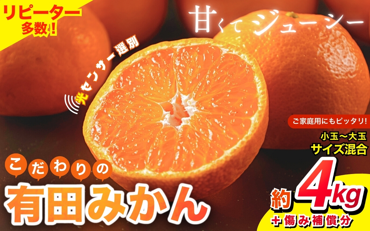 【2024年12月発送予約分】＼光センサー選別／ 【農家直送】【家庭用】こだわりの有田みかん 約4kg＋250g(傷み補償分) 先行予約 有機質肥料100% サイズ混合 【12月発送】みかん ミカン 有田みかん 温州みかん  ※北海道・沖縄・離島配送不可【nuk148-2A】