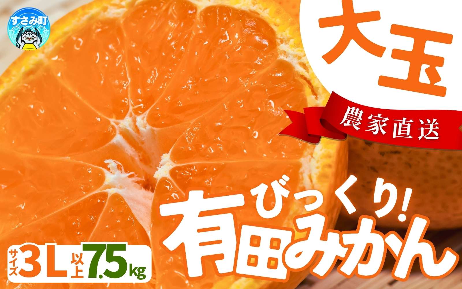 【農家直送】有田みかん  大玉3L以上 約7.5kg 有機質肥料100% ※2025年12月初旬～1月中旬に順次発送(お届け日指定不可)【nuk158C】