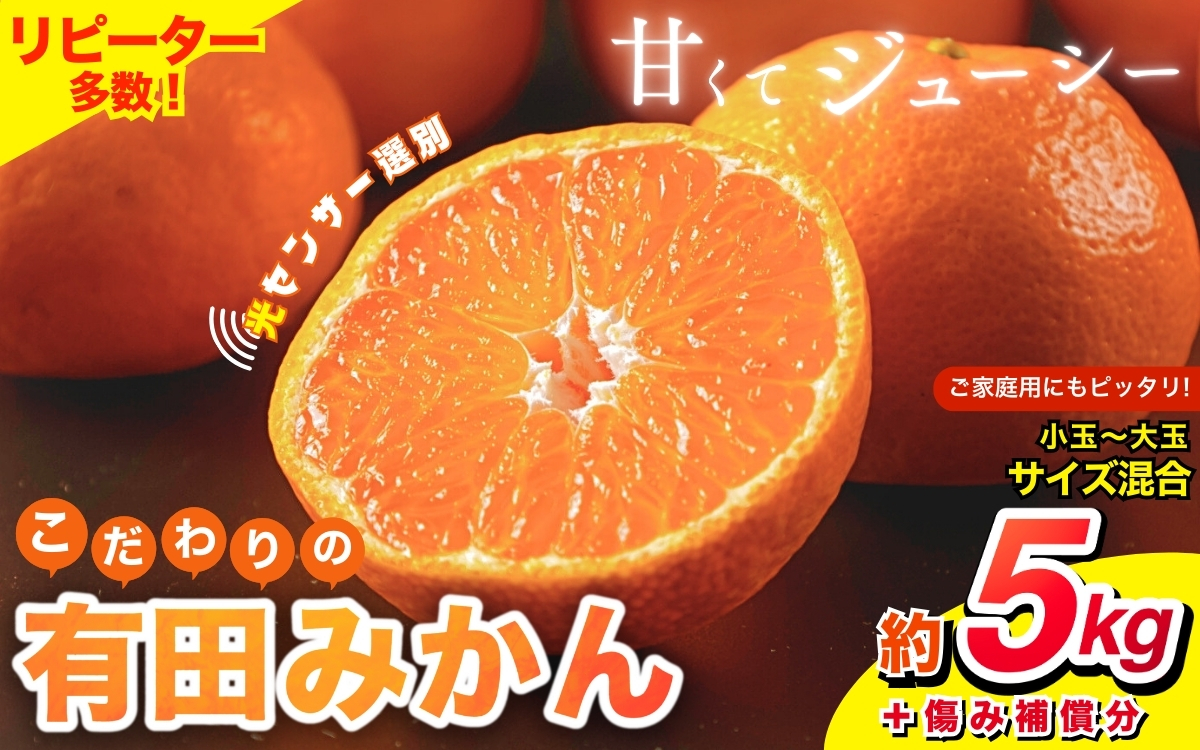 【2024年12月発送予約分】【農家直送】【家庭用】こだわりの有田みかん 約5kg＋250g(傷み補償分) 有機質肥料100% サイズ混合 ※北海道・沖縄・離島配送不可/みかん ミカン 有田みかん 温州みかん 柑橘 有田 和歌山【nuk160-2A】