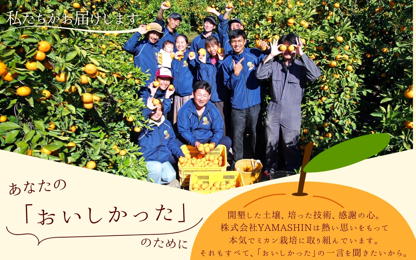 ã2025幎12æçºéäºçŽåããå®¶åºçšãã蟲家çŽéããã ããã®æç°ã¿ãã çŽ10kgïŒ250g(å·ã¿è£åå) ææ©è³ªè¥æ100% ãµã€ãºæ··åãã12æçºéãâ»åæµ·éã»æ²çžã»é¢å³¶é
éäžå¯ / ã¿ãã ã¿ãã ã¿ãã ã¿ãã ãªã¬ã³ãž ãã«ãŒã ææ© ãnuk101-12Bã