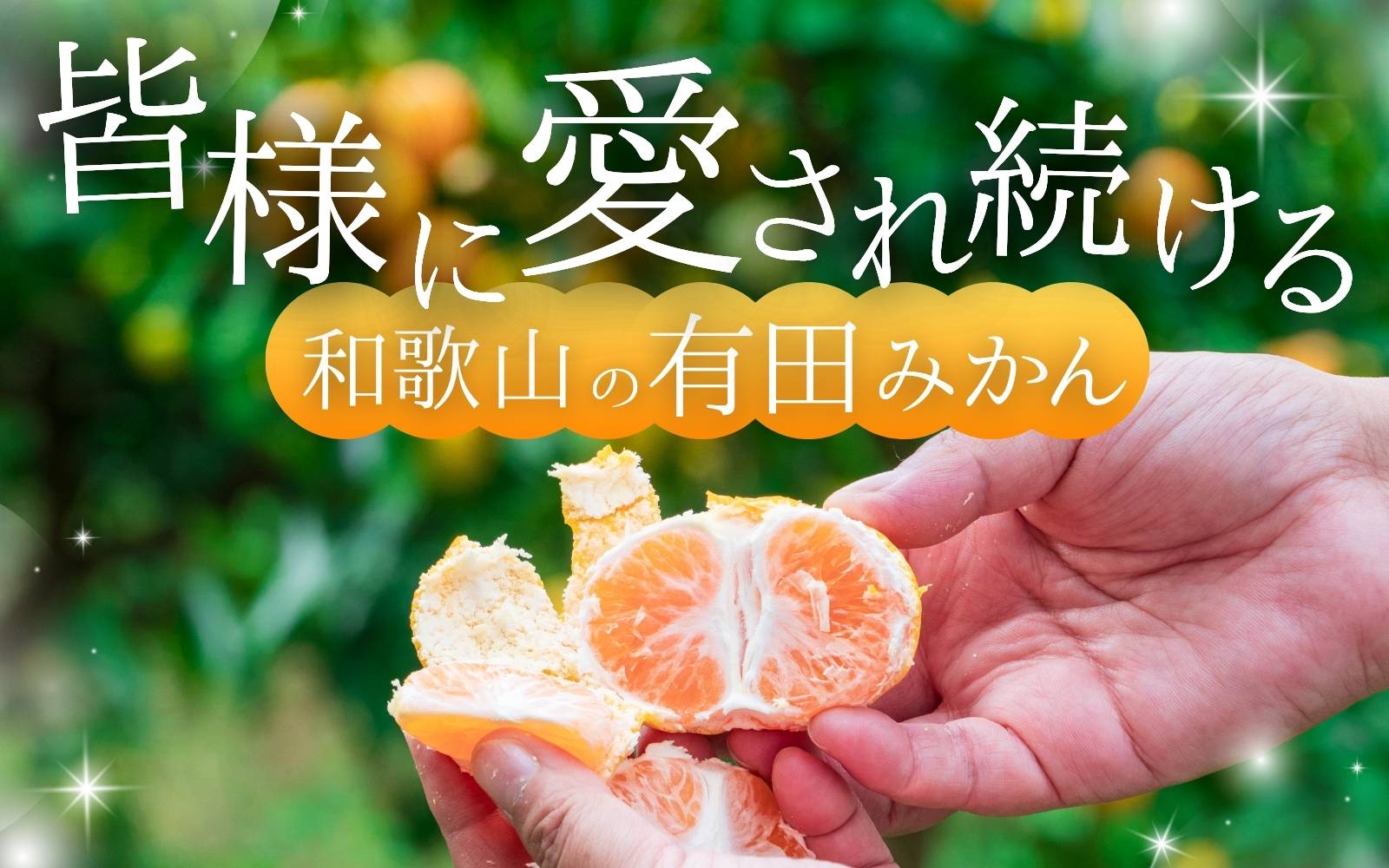 ã2025幎12æçºéäºçŽåããå®¶åºçšãã蟲家çŽéããã ããã®æç°ã¿ãã çŽ10kgïŒ250g(å·ã¿è£åå) ææ©è³ªè¥æ100% ãµã€ãºæ··åãã12æçºéãâ»åæµ·éã»æ²çžã»é¢å³¶é
éäžå¯ / ã¿ãã ã¿ãã ã¿ãã ã¿ãã ãªã¬ã³ãž ãã«ãŒã ææ© ãnuk101-12Bã