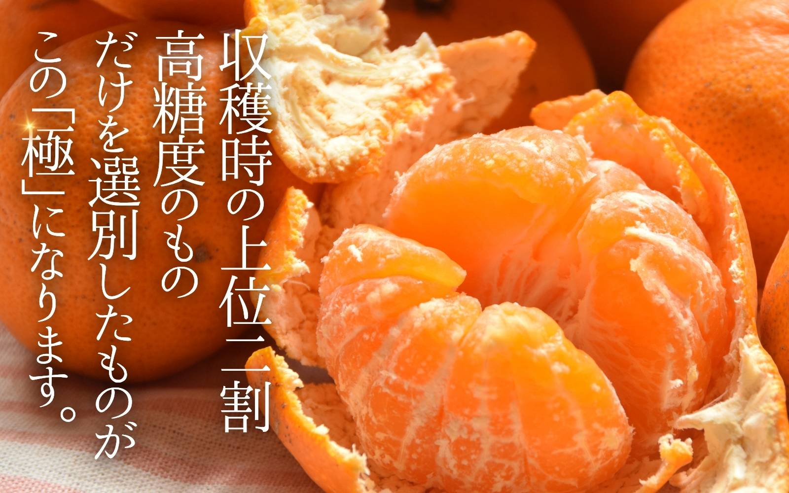 å
ã»ã³ãµãŒéžå¥ïŒæ¥µ æç°ã¿ãããã¬ãã¢ã çŽ2kgãéžããããã®äžäœ20ïŒ
ããå±ãã2SïœLãµã€ãº ææ©è³ªè¥æ100% â»2025幎11æäžæ¬ïœ2026幎1æäžæ¬é ã«é 次çºéäºå® â»åæµ·éã»æ²çžã»é¢å³¶ãžã®é
éäžå¯ / ã¿ãã ã¿ãã ã¿ãã ãã«ãŒã ãnuk154Fã