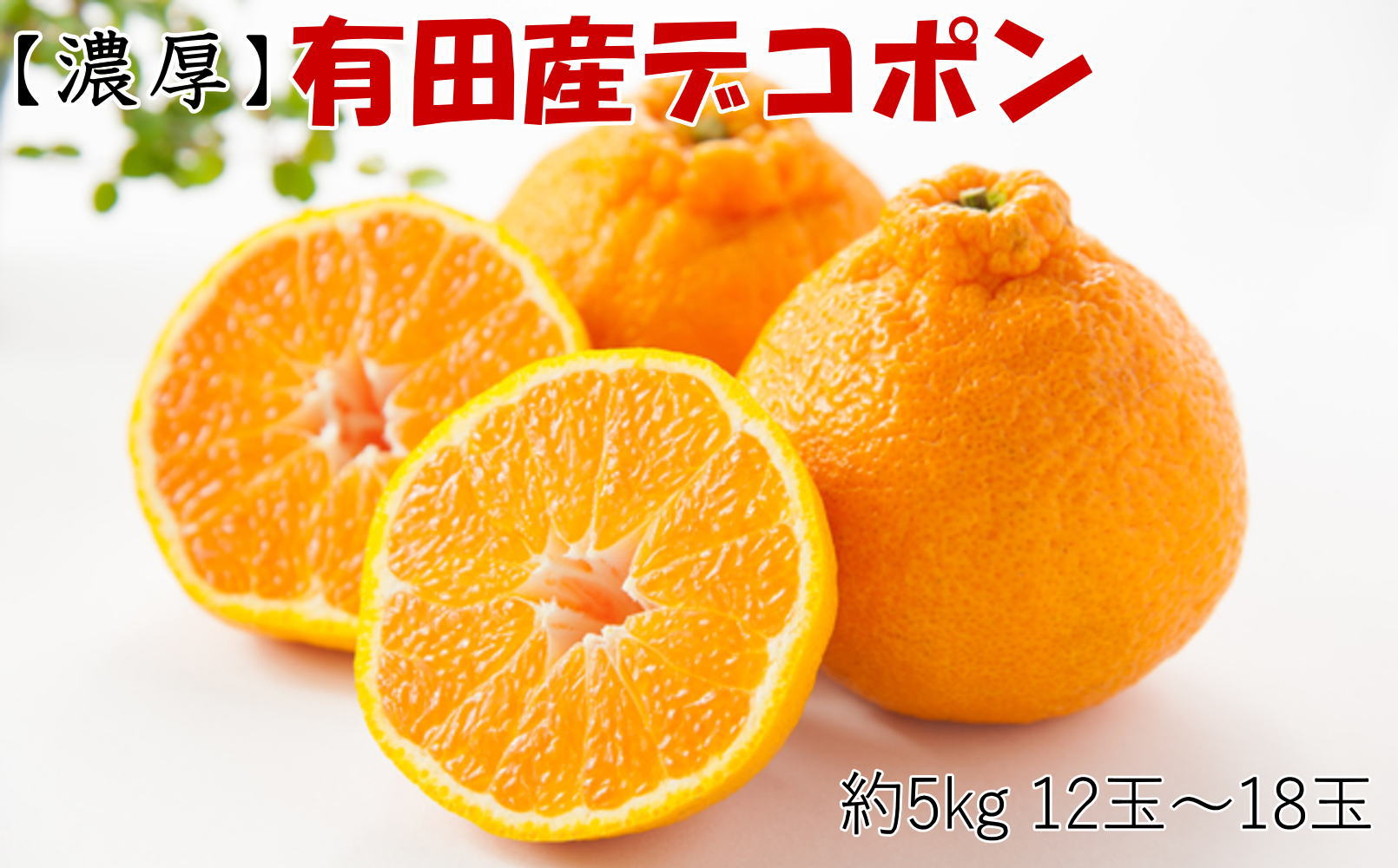 【先行予約】【お味濃厚】紀州有田産の大玉デコポン約5kg（12玉～18玉入り・青秀以上）※2026年1月中旬～2026年3月中旬頃順次発送 / 果物 くだもの フルーツ オレンジ みかん 和歌山【tec811B】