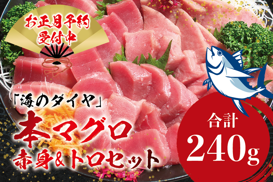 本マグロ（養殖）トロ＆赤身セット 240g 【12/26～30発送】高級 クロマグロ  中トロ 中とろ まぐろ マグロ 鮪 刺身 赤身 柵 じゃばらまぐろ 本マグロ 本鮪 【nks113-sg】