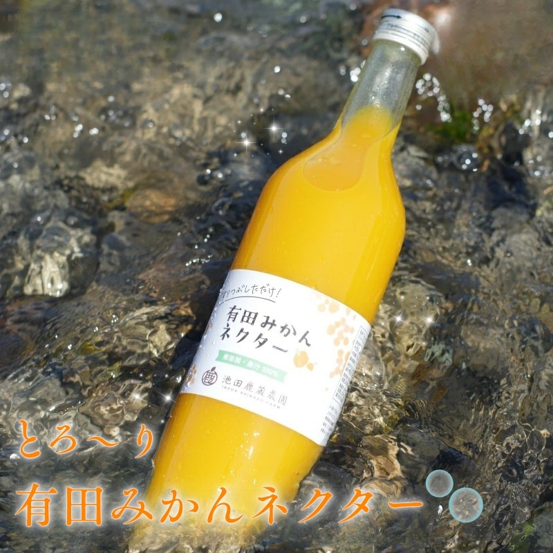 とろり　みかんネクター1000ml×2本【無添加100%ストレートジュース】【有田みかんジュース】【ikd097B】
