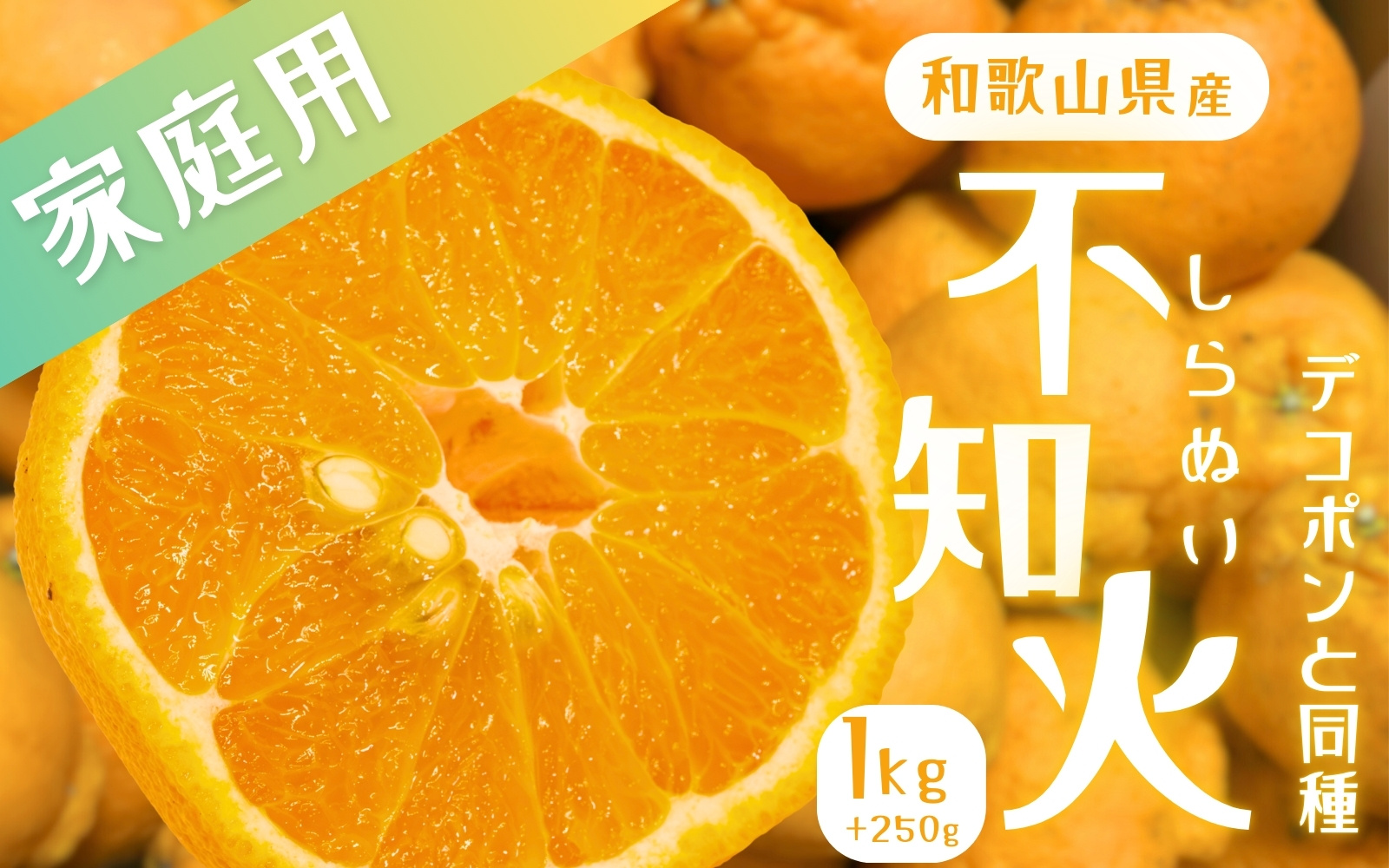 【先行予約】 不知火 【デコポンと同品種・人気の春みかん】 家庭用 1kg+250g（傷み補償分）【わけあり・訳あり】＜2月より発送＞ ※北海道・沖縄・離島への配送不可 不知火 デコポン 柑橘 【ikd161C】