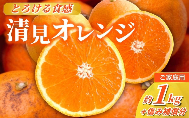 ＜2月より発送＞家庭用 清見オレンジ1kg+30g（傷み補償分）【光センサー食頃出荷】【樹上完熟きよみオレンジ・清見タンゴール・清美】【わけあり・訳あり】/ フルーツ 果物 くだもの 柑橘【ikd164A】 