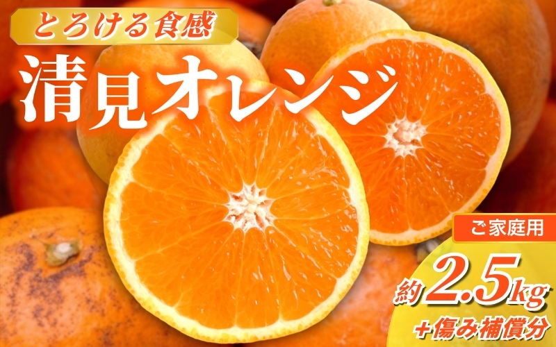 ＜2月より発送＞家庭用 清見オレンジ2.5kg+75g（傷み保証分）【光センサー食頃出荷】【樹上完熟きよみオレンジ・清見タンゴール・清美】【わけあり・訳あり】/ きよみオレンジ オレンジ みかん ミカン くだもの 果物 フルーツ 柑橘【ikd199A】 