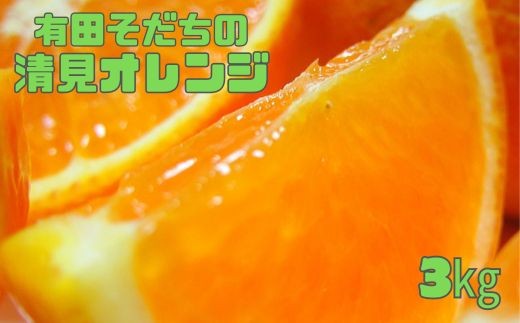【2027年2月下旬～5月上旬頃に順次発送予定】有田育ちの完熟清見オレンジ(ご家庭用)　3kg+200g(補償分) ※北海道・沖縄・離島配送不可 / くだもの フルーツ 果物 みかん ミカン オレンジ 清見オレンジ おれんじ【ard016C】