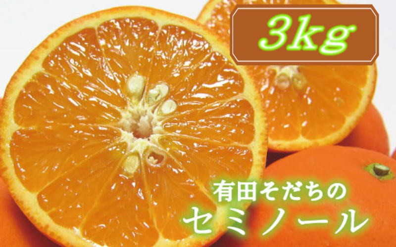【2027年4月上旬～5月下旬頃に順次発送予定】ご家庭用セミノールオレンジ3kg+200g(補償分)【ard024A】