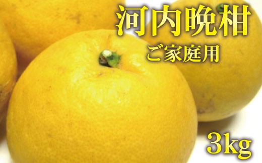 【2027年4月上旬～5月下旬頃に順次発送予定】【和製グレープフルーツ】有田育ちの河内晩柑(ご家庭用)　3kg+200g(補償分)  ※北海道・沖縄・離島配送不可【ard028C】