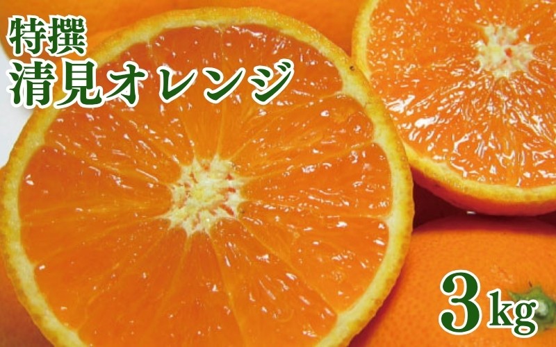 特撰　清見オレンジ 5kg+200g(補償分)【2027年2月下旬～5月上旬頃に順次発送予定】【ard240B】
