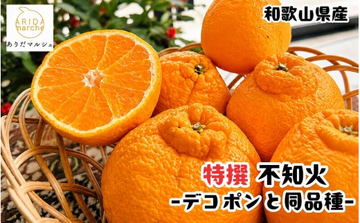 【先行予約】特選 濃厚 不知火 (通称デコポン) 10kg+200g(痛み補償分)※2027年1月下旬～3月下旬に順次発送※着日指定不可【ard260】