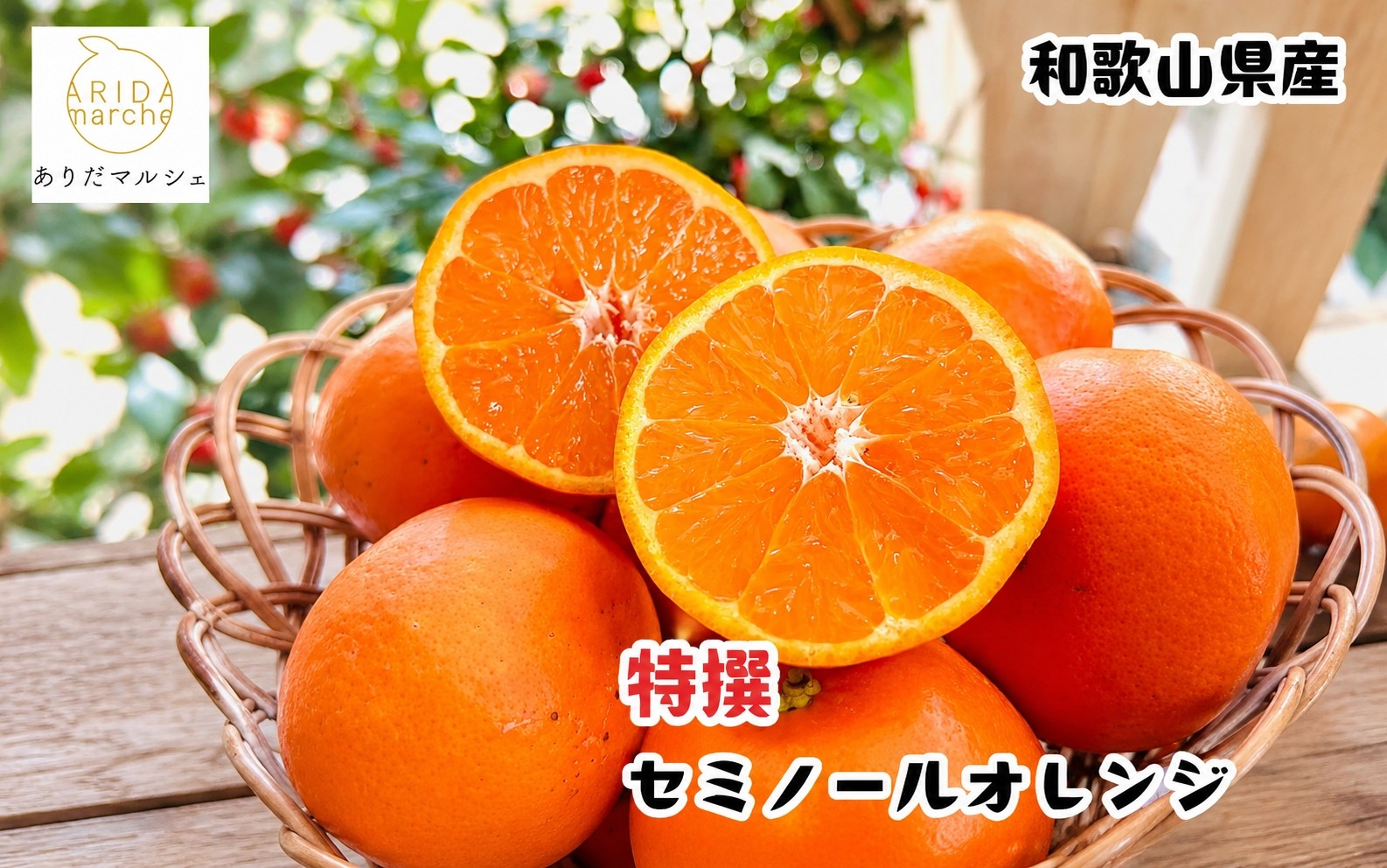 特選 セミノールオレンジ 1.5kg+200g(補償分)　【2027年4月上旬～5月下旬頃に順次発送予定】【ard264】