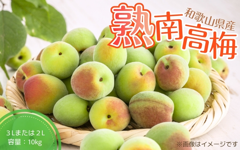 【梅干・梅酒用】（3Lまたは2L－2Kg）熟南高梅＜2026年6月上旬～7月7日発送予定＞【ART06】 梅 梅干し ウメ 青梅 生梅 梅シロップ フルーツ 果物 くだもの 食品 人気 おすすめ 送料無料【art009B】