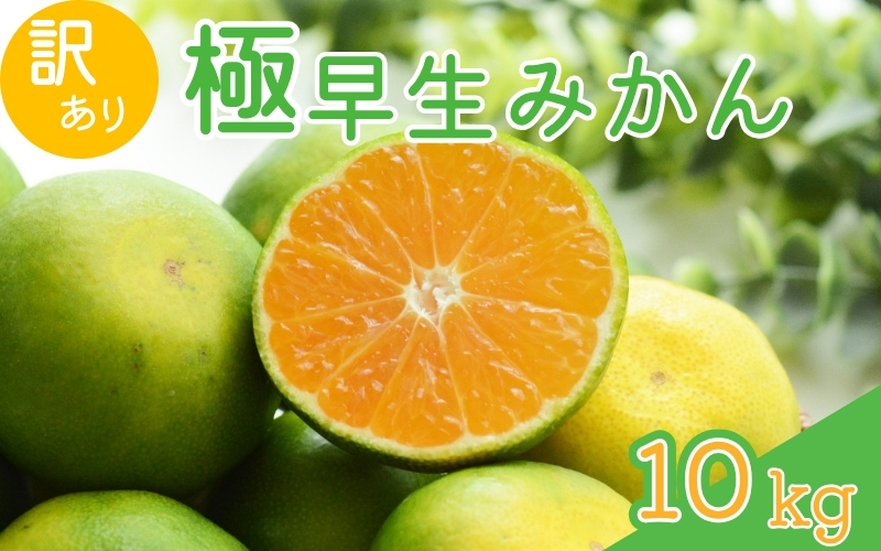 【2026年秋頃発送予約分】【訳あり】こだわりの極早生みかん 約10kg ※2026年9月～10月に順次発送予定（お届け日指定不可） サイズ混合 有田産 / みかん ミカン 有田みかん 和歌山 フルーツ 果実 柑橘 くだもの 果物 予約販売【nuk167B】