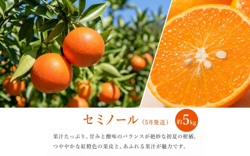 【定期便】【全3回】紀州和歌山産旬のフルーツ定期便（セミノール・スイカ・桃）【5月・6月・7月】【tkb453】