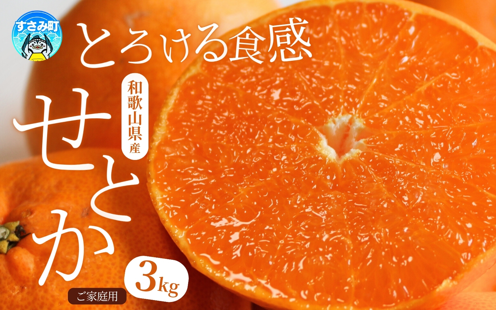 【ご家庭用訳あり】ジューシー柑橘 せとか 約3kg【先行予約】※2027年2月下旬頃〜3月中旬頃発送予定（お届け日指定不可） せとか みかん ミカン 柑橘 フルーツ 果物 くだもの【uot834A】