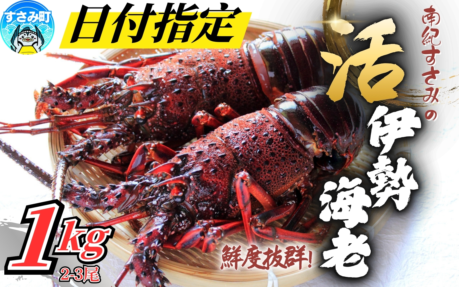 ＼期間限定・数量限定／ 南紀すさみの活き伊勢海老 約1kg(2匹)【日付指定必須】伊勢海老 伊勢エビ イセエビ 海老 えび エビ 活き 天然 すさみ町【eki109A】