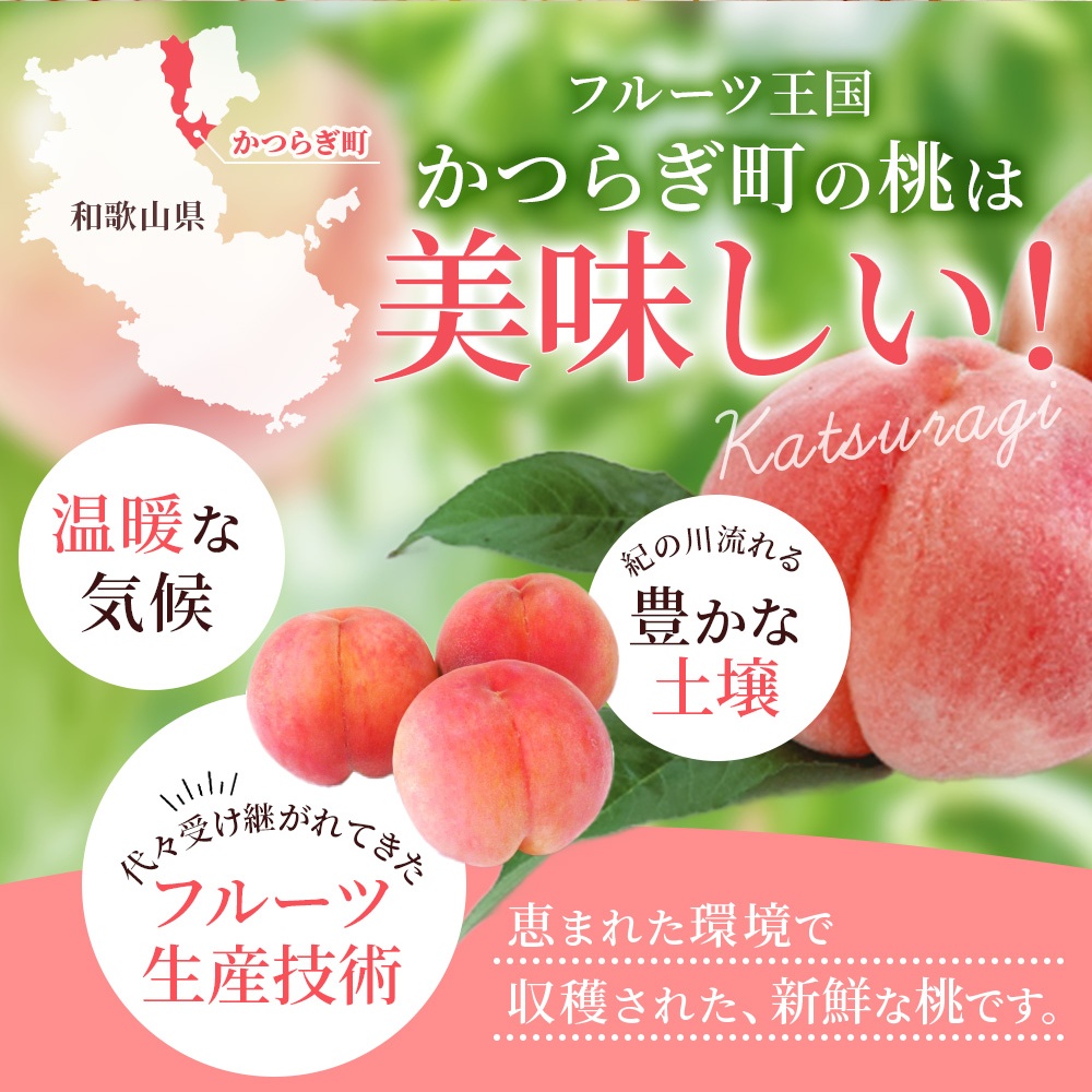 【先行予約】【厳選】あふれる果汁で口いっぱい！ 和歌山県産 桃 約2kg（6個~9個） 2026年6月末頃～2026年8月末頃に順次発送予定（お届け日指定不可）/ 和歌山 桃 モモ フルーツ もも 白桃 果物 くだもの【kgr001A】