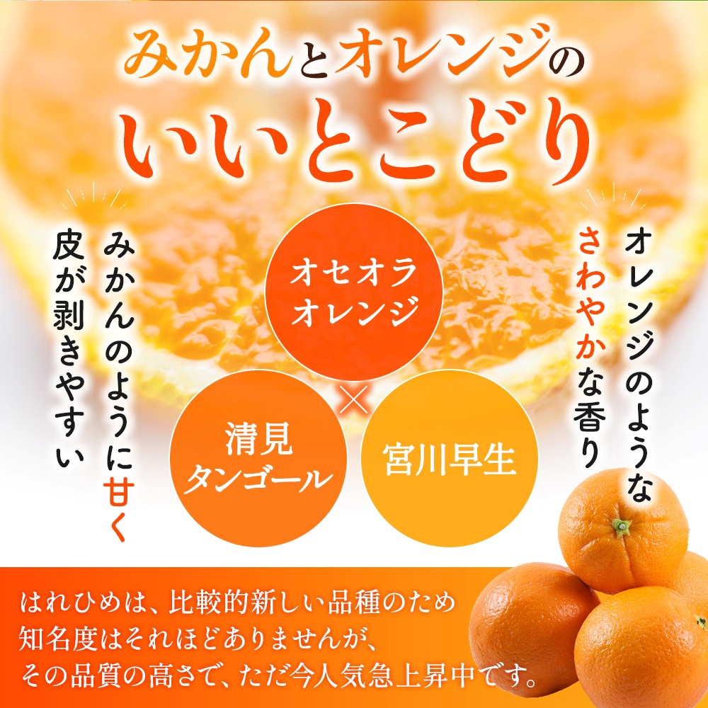 【先行予約】希少種みかん はれひめ 秀品 約5kg (25個～30個) ※2025年12月中旬～2026年2月初旬頃に順次発送予定（お届け日指定不可）/ 和歌山 みかん ミカン はれひめ フルーツ 柑橘 蜜柑 果物 くだもの 旬 産地直送【kgr004A】