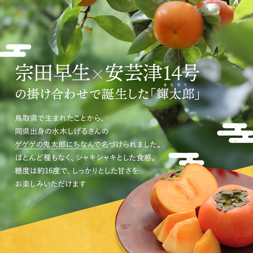 【先行予約】希少な柿【輝太郎】大玉6個～7個 コクのある甘さ！こだわり農家厳選【2026年9月末～10月末頃に順次発送予定】【kgr018】