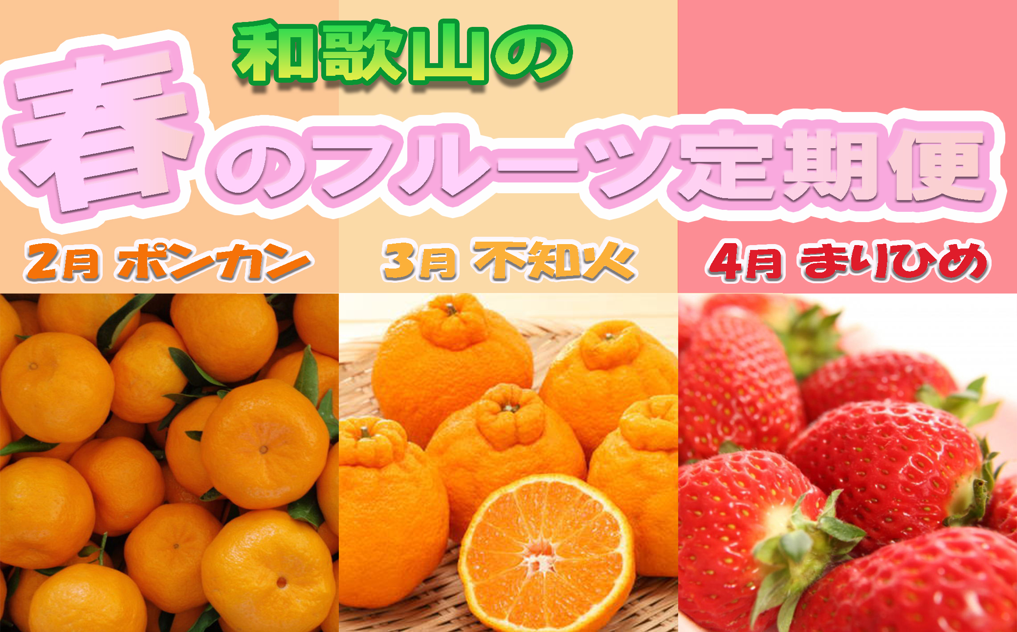 【定期便】【全3回】【2月・3月・4月発送】和歌山の春のフルーツ(ポンカン・不知火・まりひめ) / 果物 くだもの フルーツ フルーツ定期便 和歌山 【tkb430】