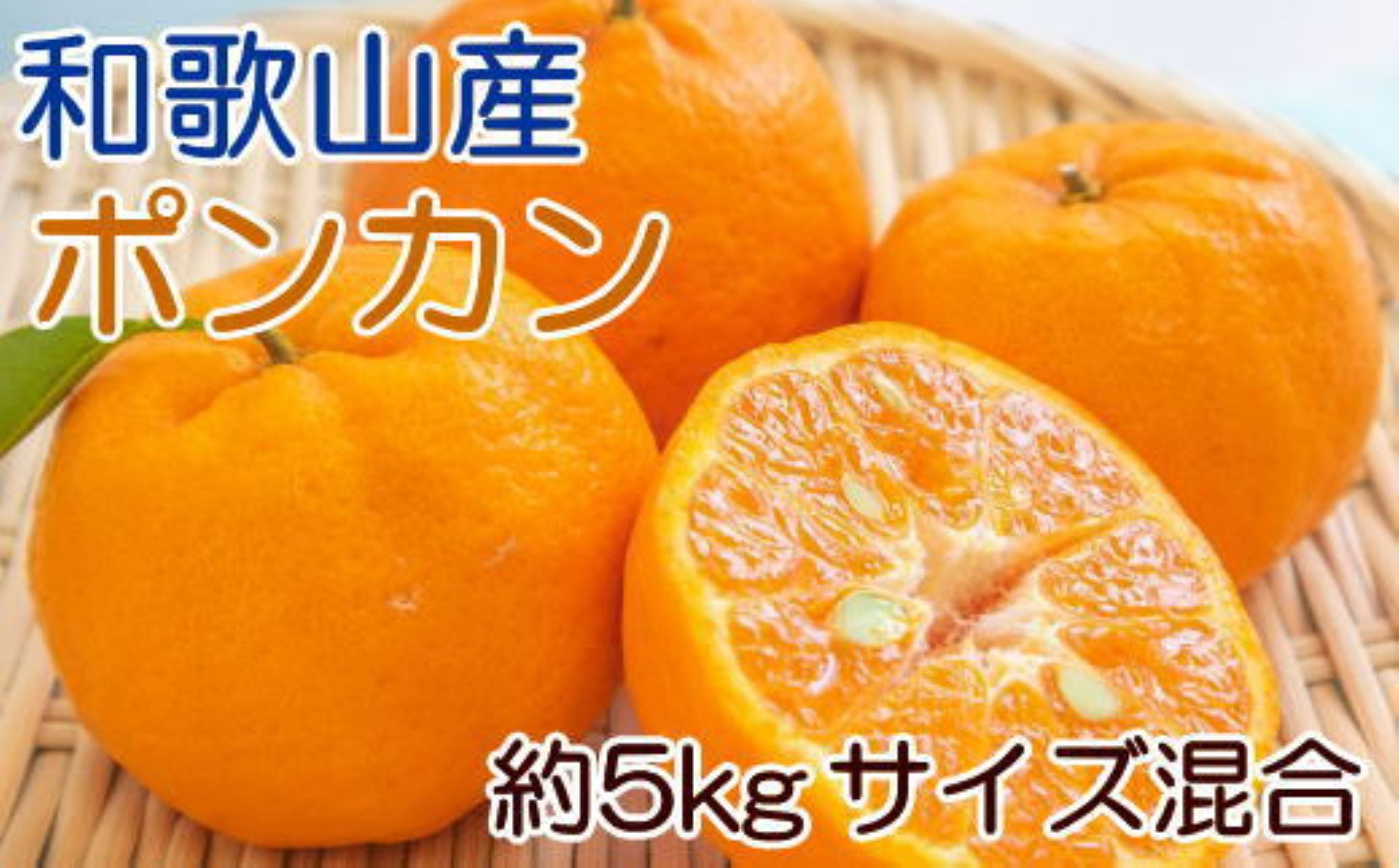 【定期便】【1月・2月・3月発送】 和歌山の人気の春のフルーツをお届け！ （キウイ・ポンカン・不知火）定期便全3回 / 果物 くだもの フルーツ フルーツ定期便 和歌山 【tkb431】
