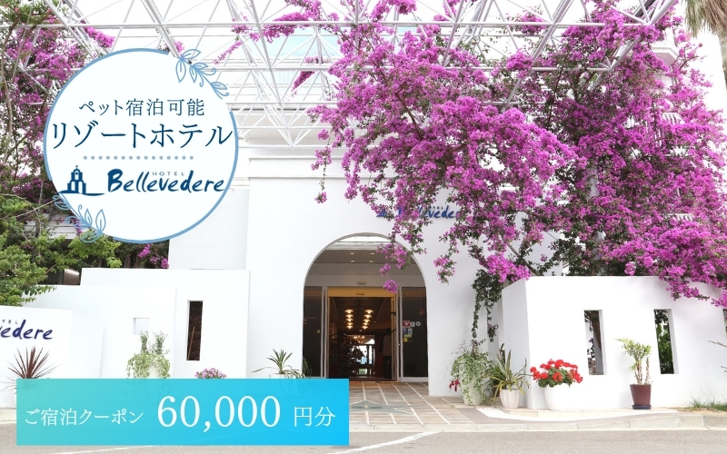 ホテルベルヴェデーレ 宿泊クーポン 60,000円分 宿泊チケット リゾートホテル 和歌山 紀南 南紀 観光【iki111】