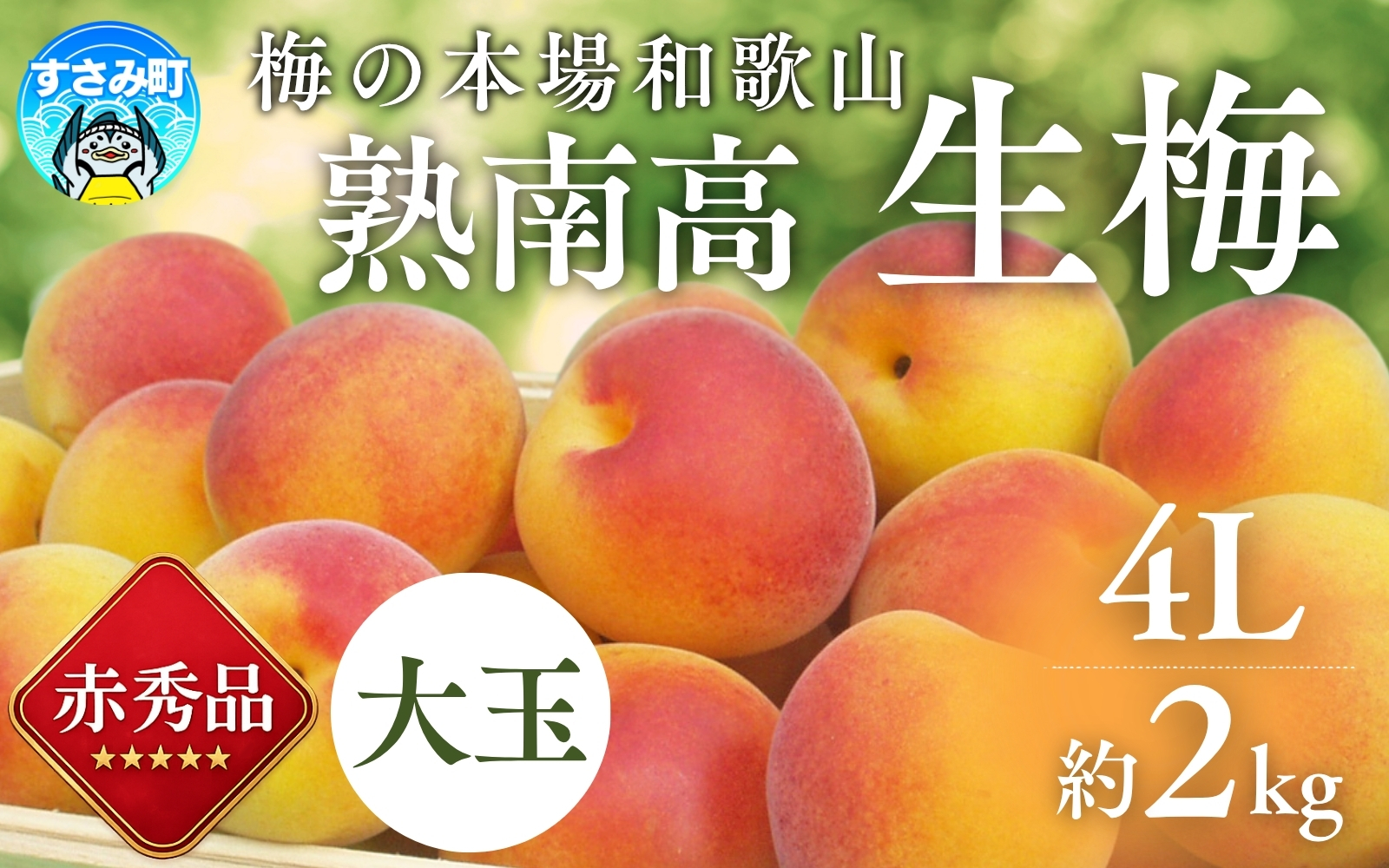 梅の本場和歌山の紀州南高梅【まもなく受付終了】【梅干・梅酒用】大玉4Lサイズ約2kg 熟南高梅 ＜2026年6月上旬～7月7日発送予定＞ フルーツ 果物 くだもの 食品 人気 おすすめ 送料無料 和歌山 うめ 梅 完熟梅 梅干し 梅酒 ウメ なんこううめ 梅シロップ 梅ジャム【art023A】
