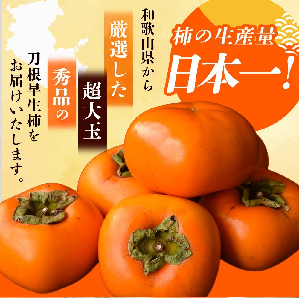 【先行予約】種無し柿 刀根早生柿 秀品大玉 約1.8kg（6個） 2026年9月下旬～10月下旬頃に順次発送予定（お届け日指定不可）/ 柿 かき 種無し 秀品 大玉 フルーツ 果物 くだもの【kiy002A】