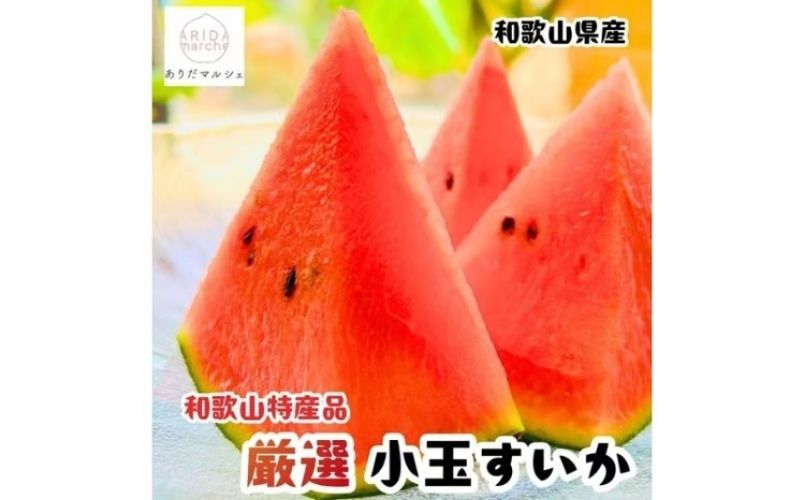 【先行予約】農家直送 厳選 小玉すいか Mサイズ/1玉入り【2027年6月上旬～6月下旬（順次発送予定）】【農家直送】【大人気】【和歌山県産】【ard175B】
