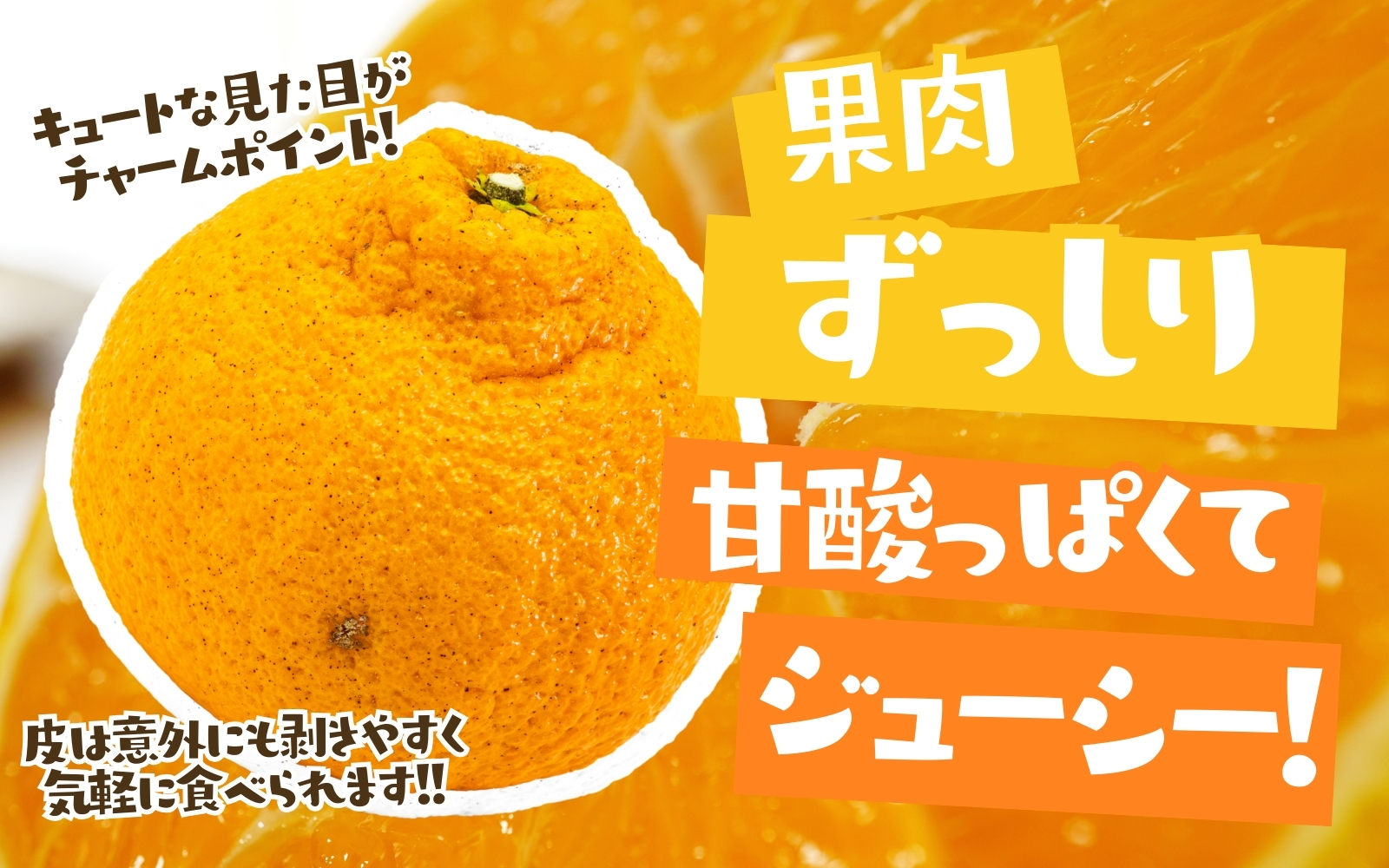 【先行予約】 不知火 【デコポンと同品種・人気の春みかん】 家庭用 1kg+250g（傷み補償分）【わけあり・訳あり】＜2月より発送＞ ※北海道・沖縄・離島への配送不可 不知火 デコポン 柑橘 【ikd161C】